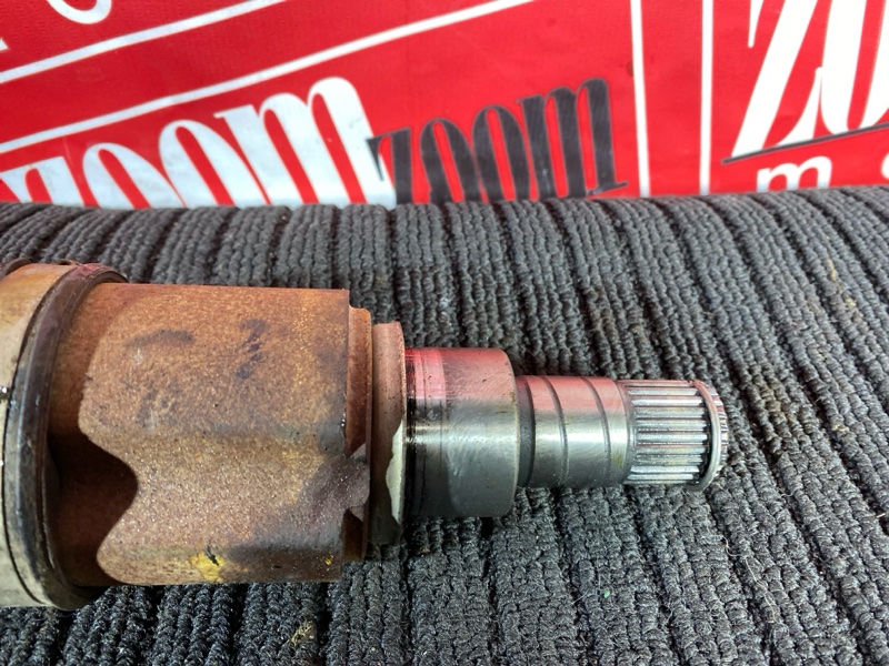 Привод, 1800 рублей, Солонцы