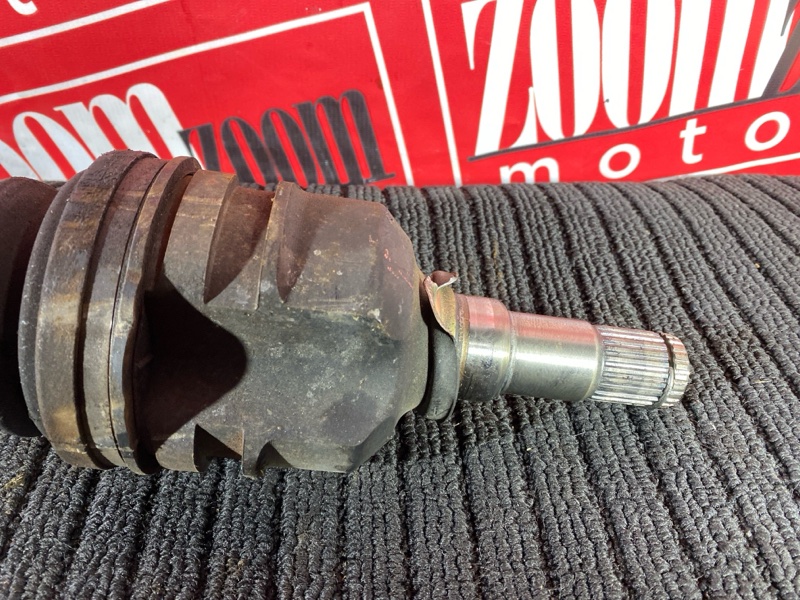 Привод, 8000 рублей, Солонцы