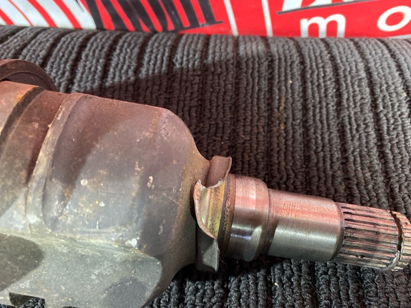 Привод, 8000 рублей, Солонцы