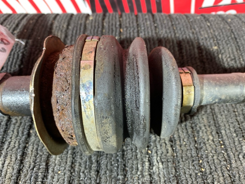 Привод, 1200 рублей, Солонцы