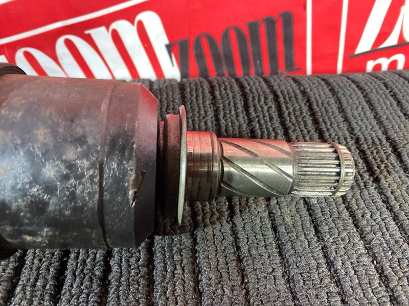 Привод, 1200 рублей, Солонцы