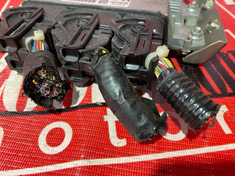 Компьютер (Блок управления), 6000 рублей, Солонцы