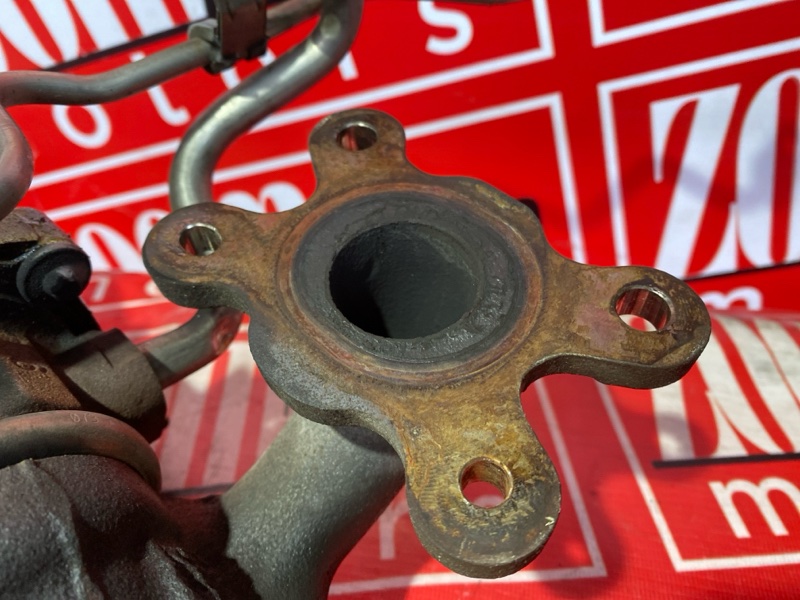 Турбина, 19000 рублей, Солонцы