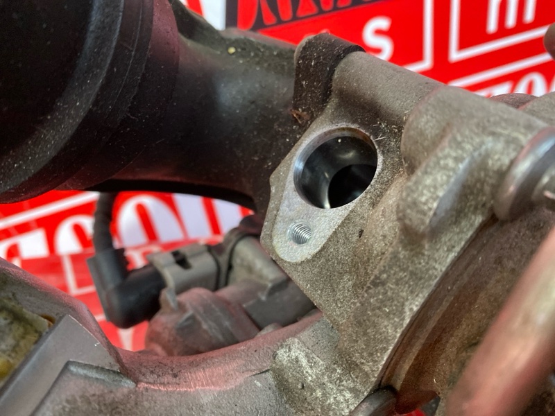 Турбина, 19000 рублей, Солонцы