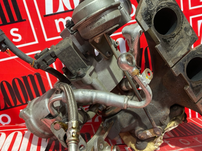 Турбина, 25000 рублей, Солонцы