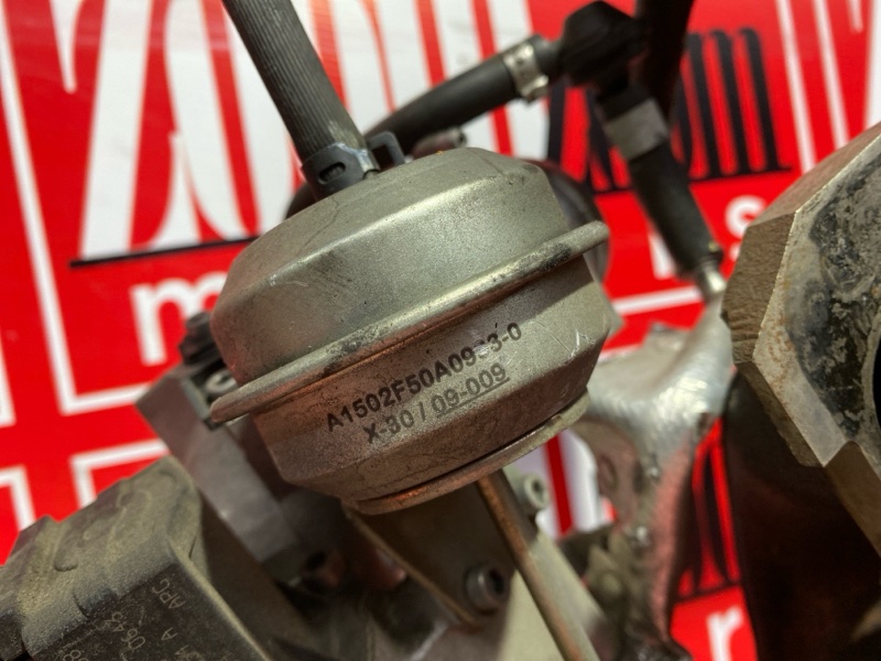 Турбина, 25000 рублей, Солонцы