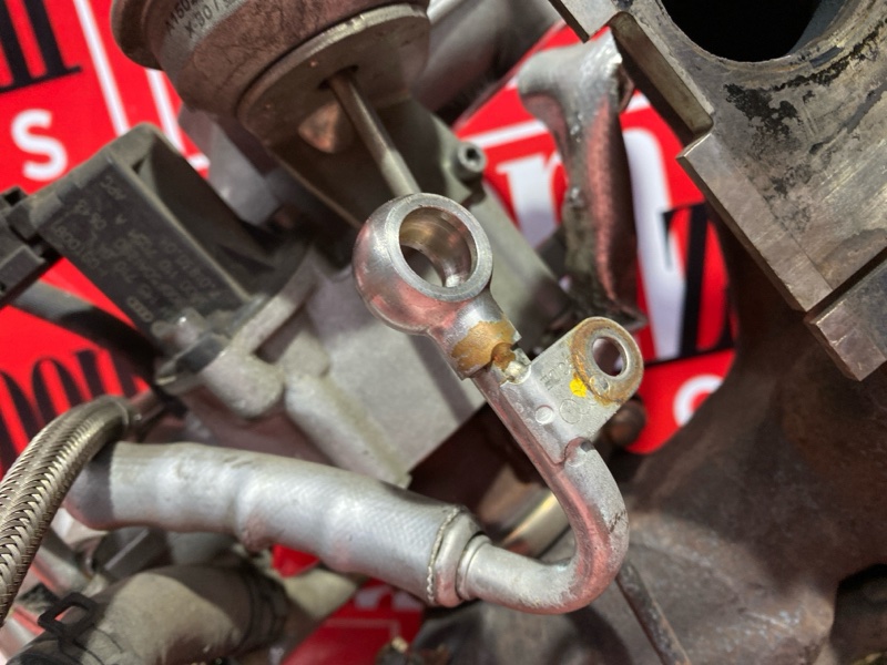 Турбина, 25000 рублей, Солонцы