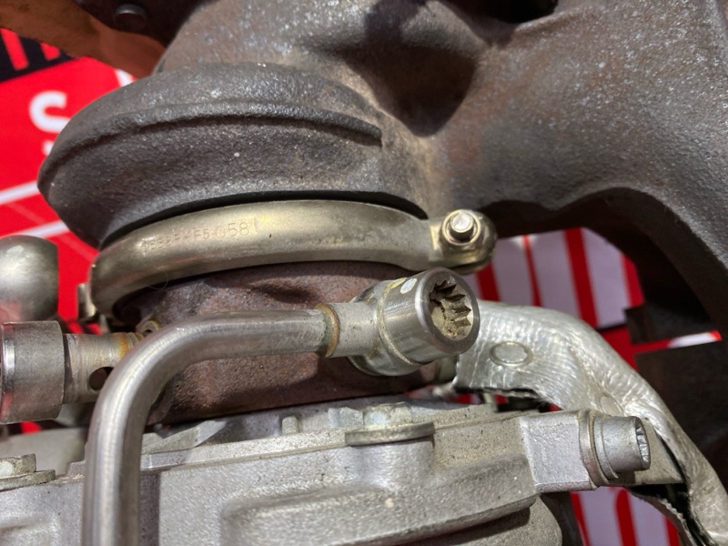 Турбина, 25000 рублей, Солонцы