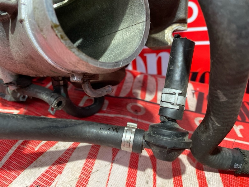 Турбина, 25000 рублей, Солонцы