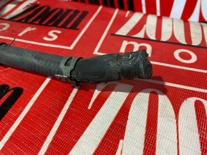 Турбина, 25000 рублей, Солонцы