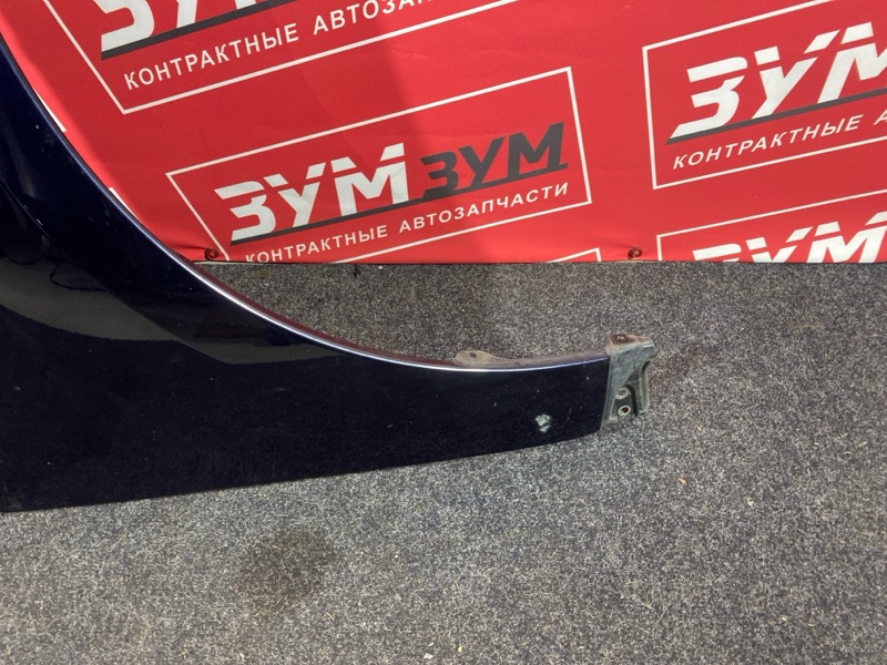 Крыло, 5000 рублей, Солонцы