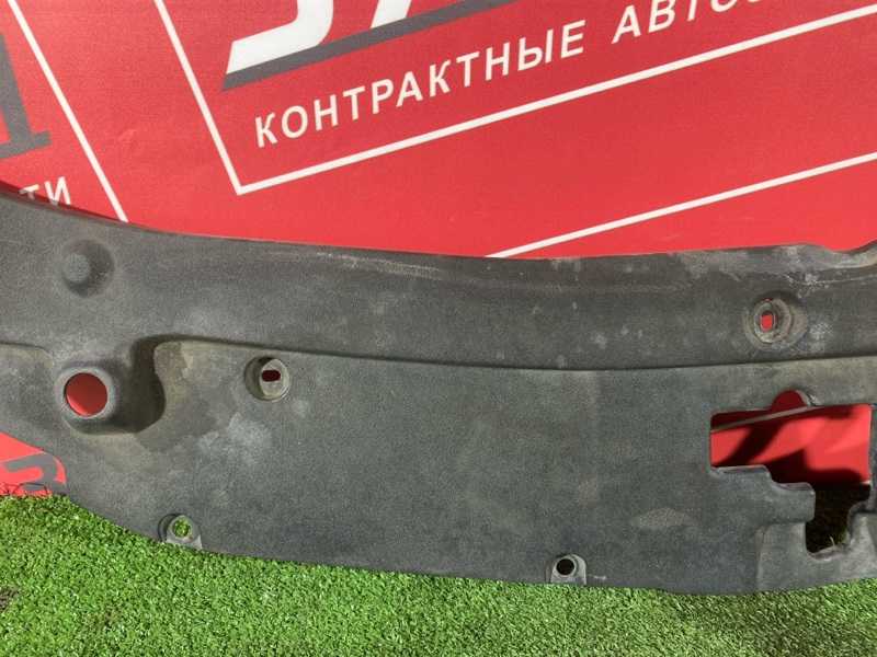 Накладка замка капота, 2000 рублей, Солонцы