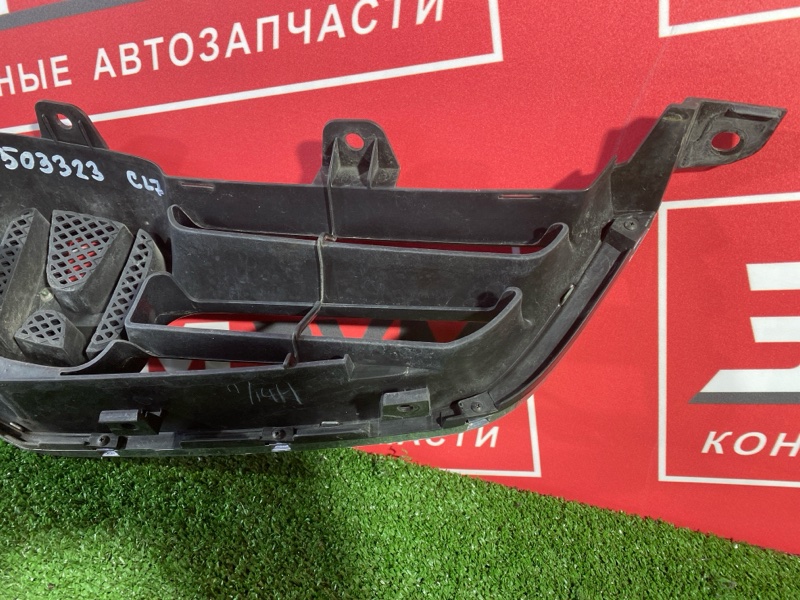 Решетка радиатора, 6000 рублей, Солонцы