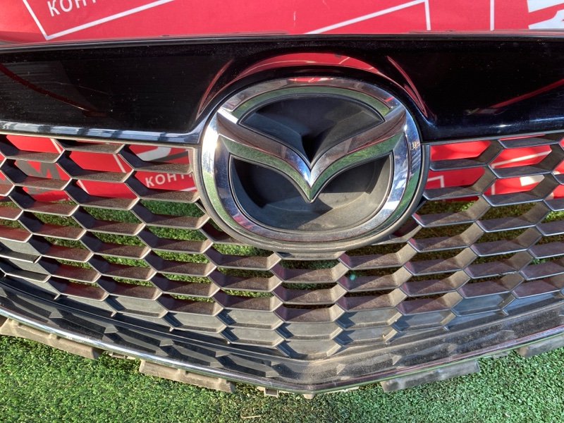 Решетка радиатора, 9000 рублей, Солонцы