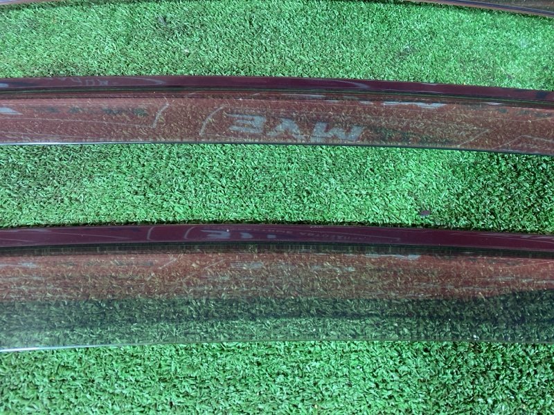 Ветровик, 1000 рублей, Солонцы