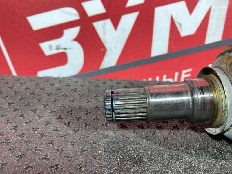 Привод, 9000 рублей, Солонцы