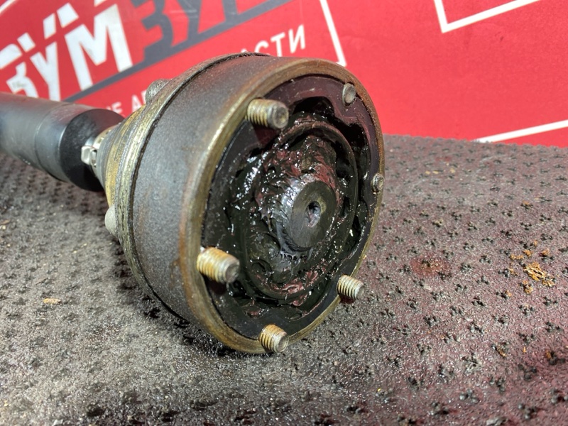 Привод, 6500 рублей, Солонцы