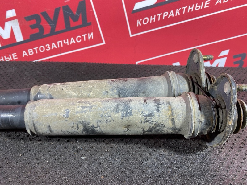 Амортизатор, 1000 рублей, Солонцы