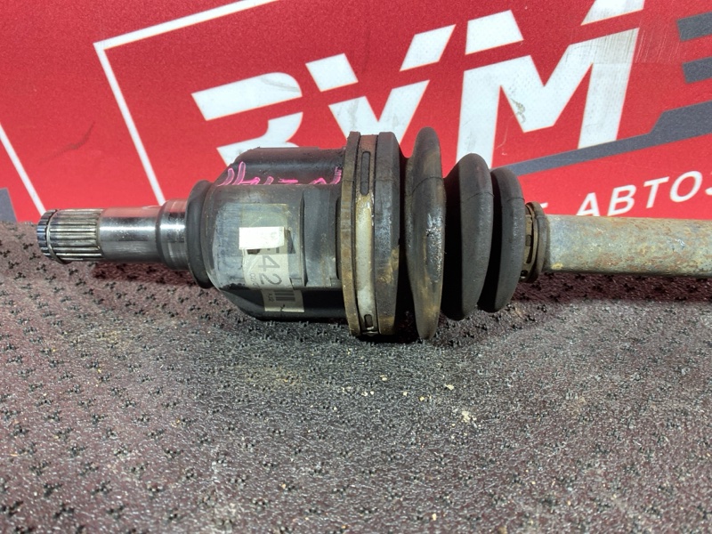 Привод, 10000 рублей, Солонцы