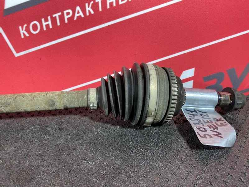 Привод, 10000 рублей, Солонцы