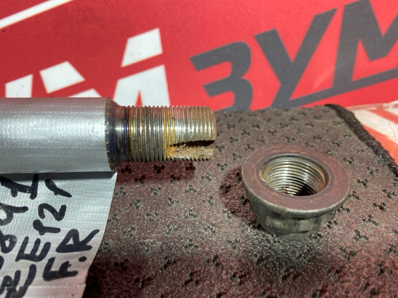 Привод, 10000 рублей, Солонцы