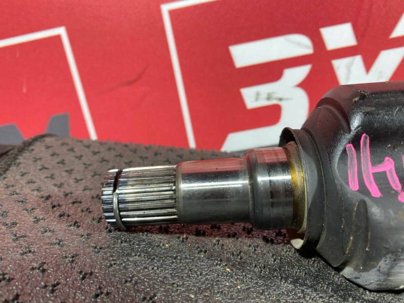 Привод, 10000 рублей, Солонцы