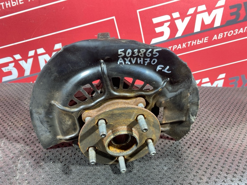 Ступица, 10000 рублей, Солонцы