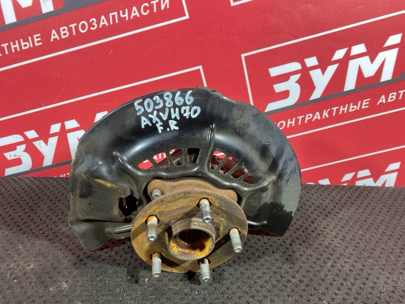 Ступица, 10000 рублей, Солонцы