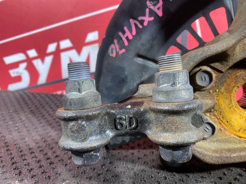 Ступица, 10000 рублей, Солонцы