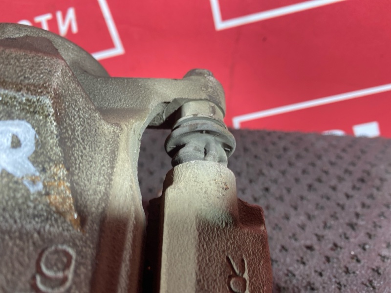 Суппорт, 1000 рублей, Солонцы