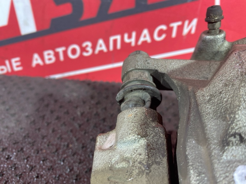 Суппорт, 1000 рублей, Солонцы