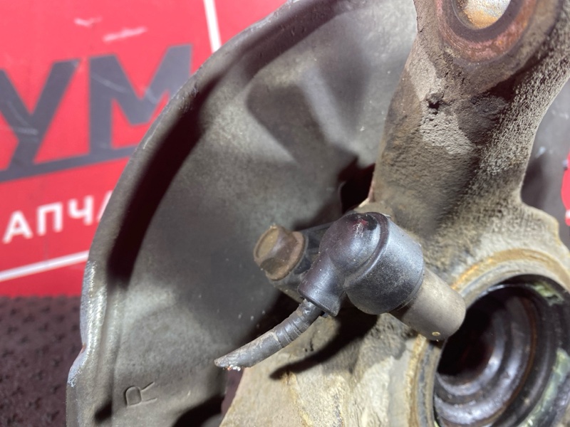 Ступица, 1000 рублей, Солонцы