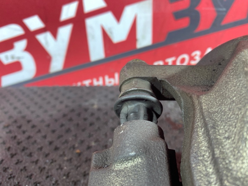 Суппорт, 1000 рублей, Солонцы