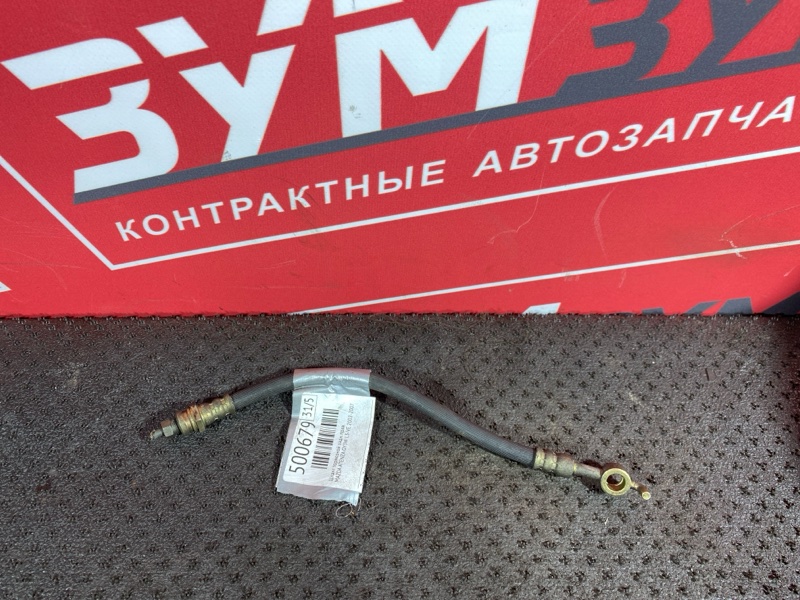 Шланг тормозной, 100 рублей, Солонцы