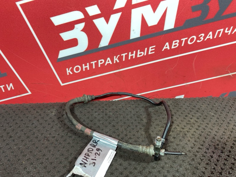 Шланг тормозной, 300 рублей, Солонцы