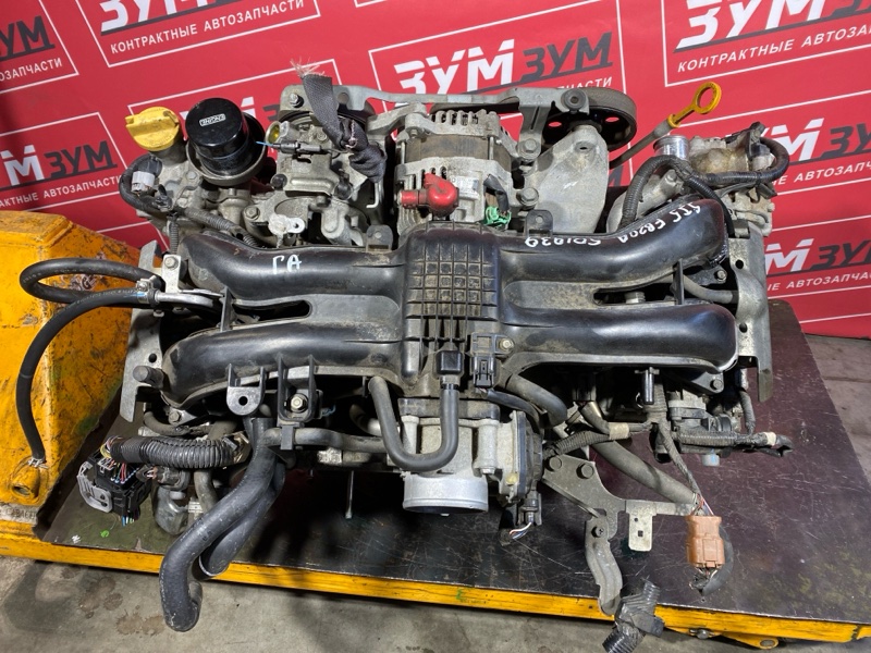 Двигатель, 163000 рублей, Солонцы