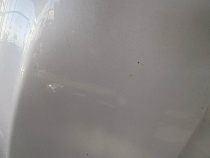 Капот, 60000 рублей, Солонцы