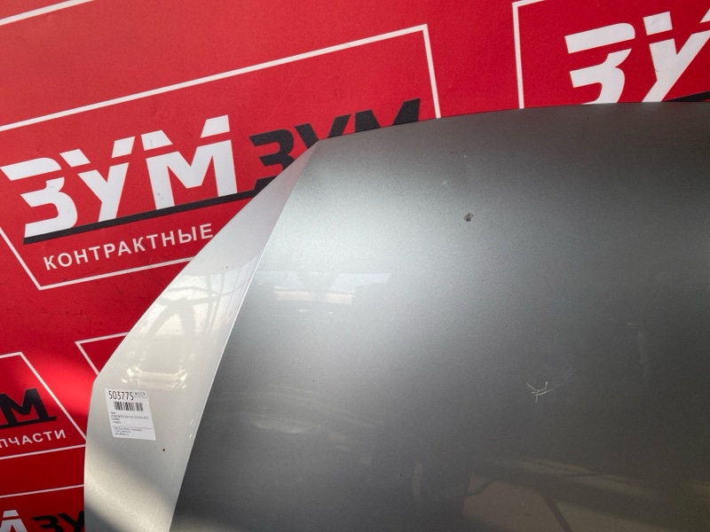 Капот, 30000 рублей, Солонцы