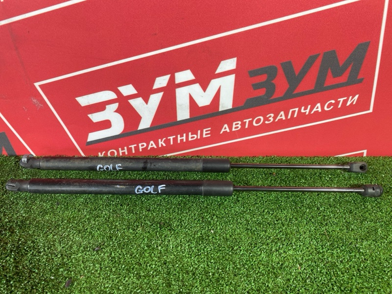 Амортизатор багажника, 1000 рублей, Солонцы