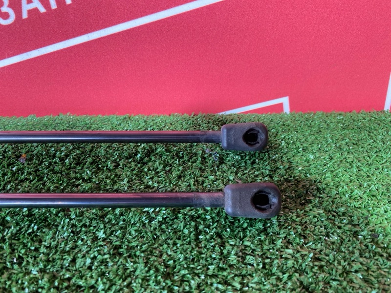 Амортизатор багажника, 1000 рублей, Солонцы