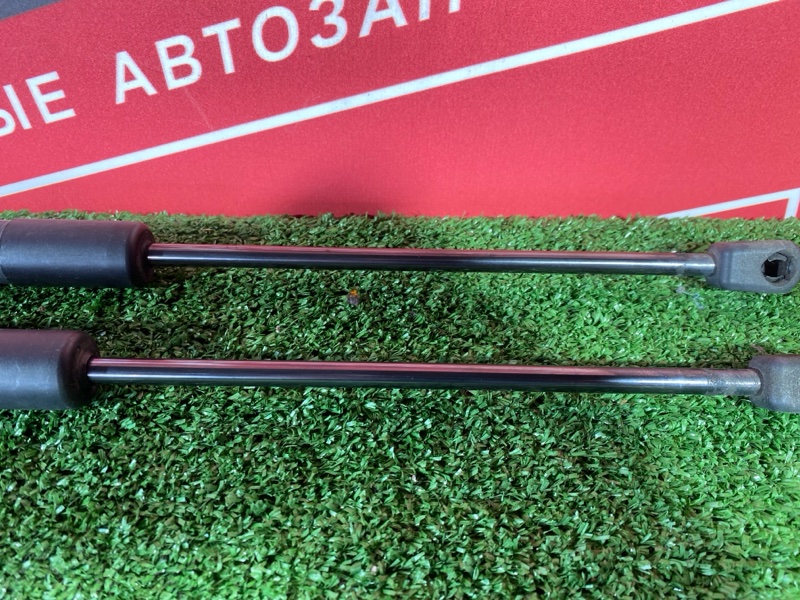 Амортизатор багажника, 1000 рублей, Солонцы