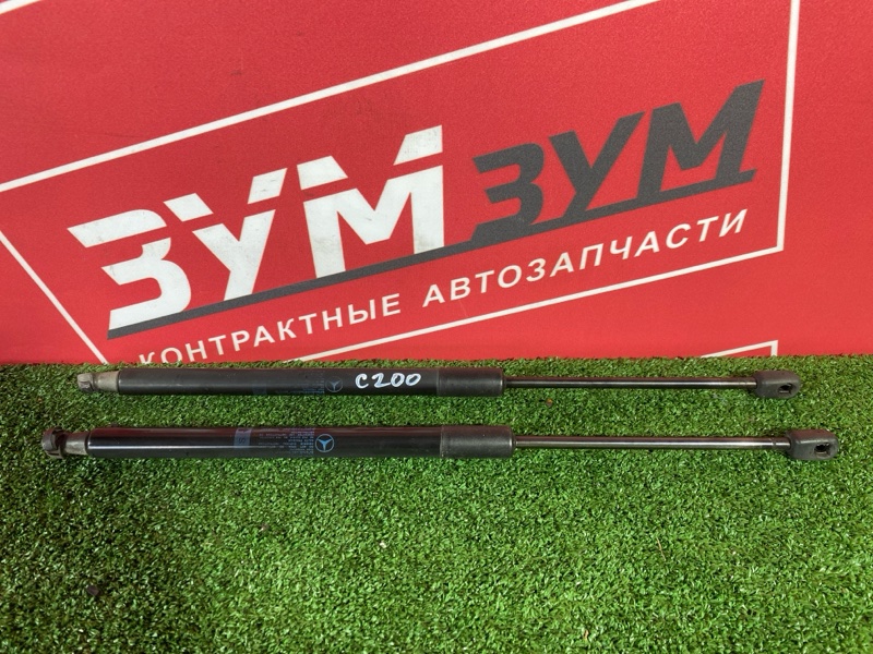 Амортизатор багажника, 1000 рублей, Солонцы