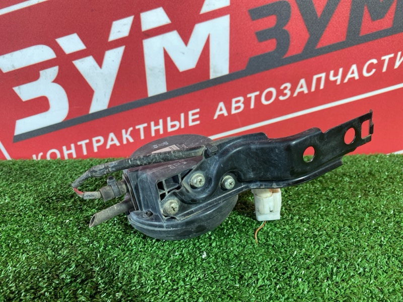 Сигнал, 800 рублей, Солонцы