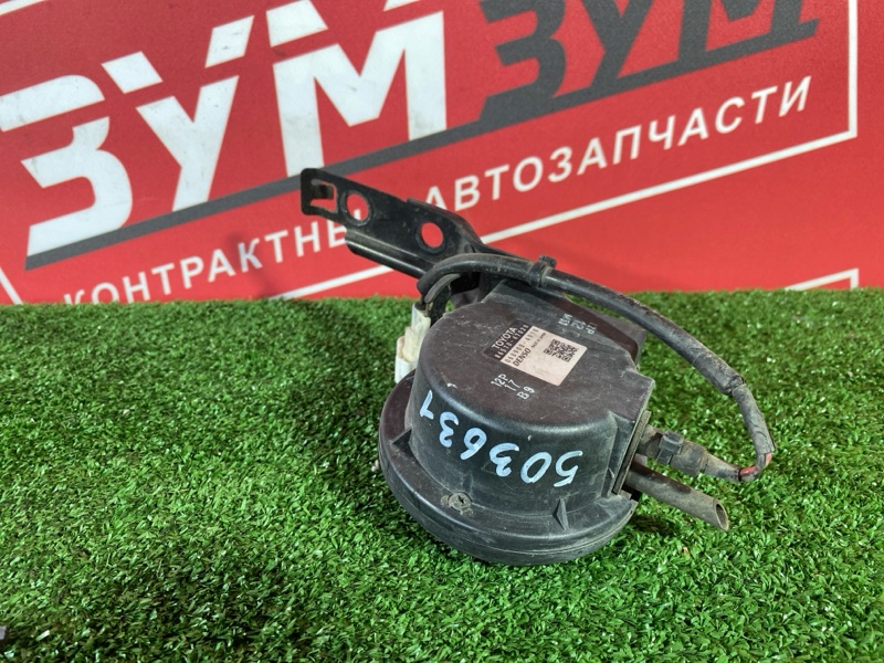 Сигнал, 800 рублей, Солонцы