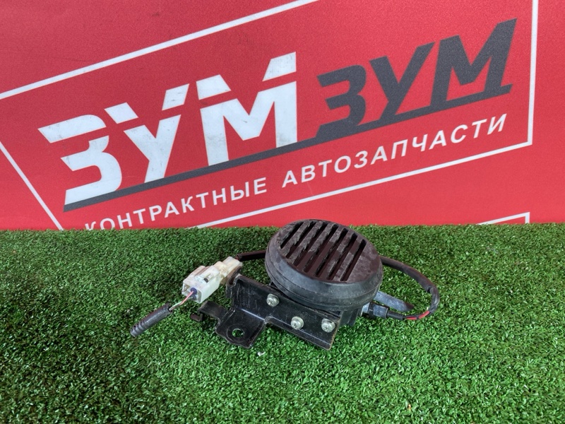 Сигнал, 800 рублей, Солонцы