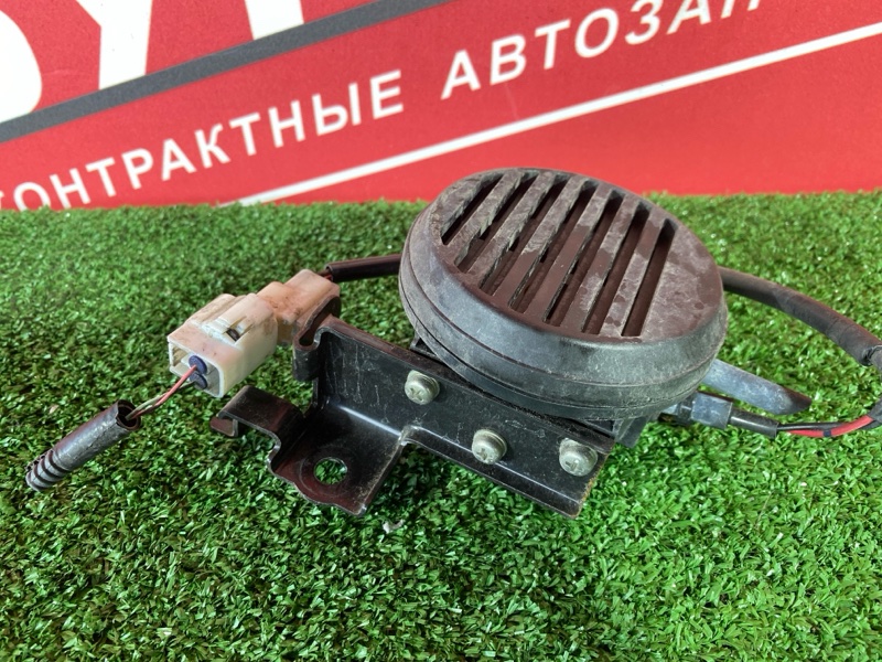 Сигнал, 800 рублей, Солонцы