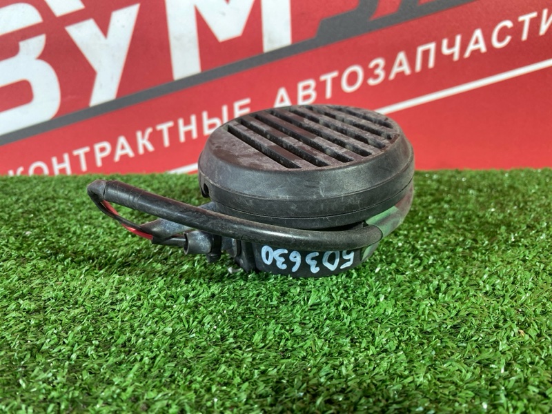 Сигнал, 800 рублей, Солонцы