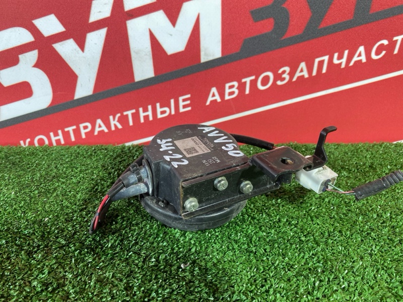 Сигнал, 800 рублей, Солонцы