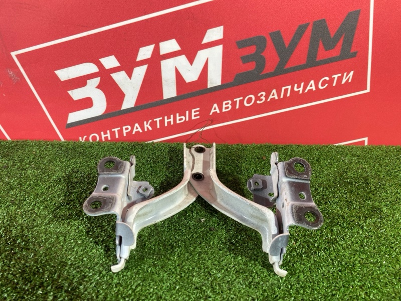 Петля (Шарнир капота), 10000 рублей, Солонцы