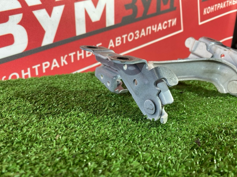 Петля (Шарнир капота), 10000 рублей, Солонцы